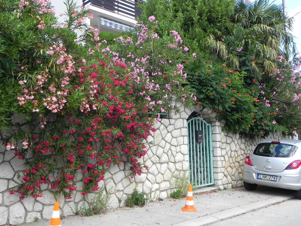 Apartments Katalenic Selce Zewnętrze zdjęcie