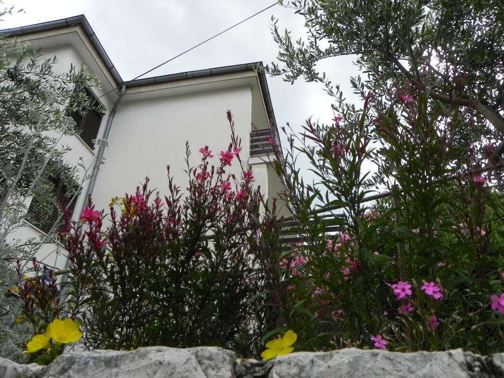 Apartments Katalenic Selce Zewnętrze zdjęcie