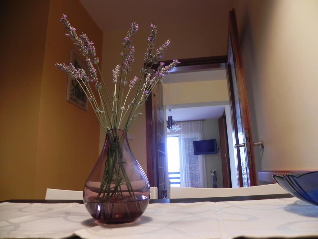 Apartments Katalenic Selce Zewnętrze zdjęcie