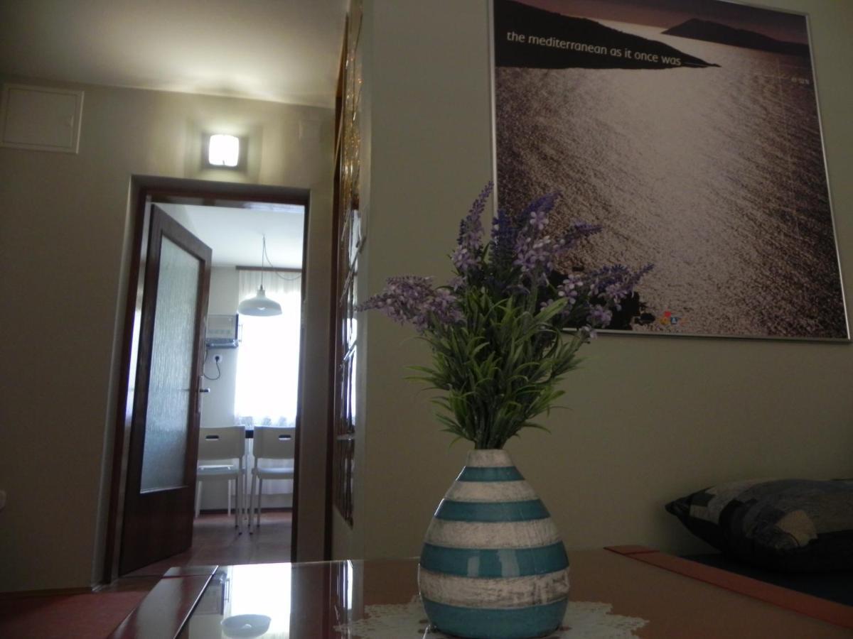 Apartments Katalenic Selce Zewnętrze zdjęcie