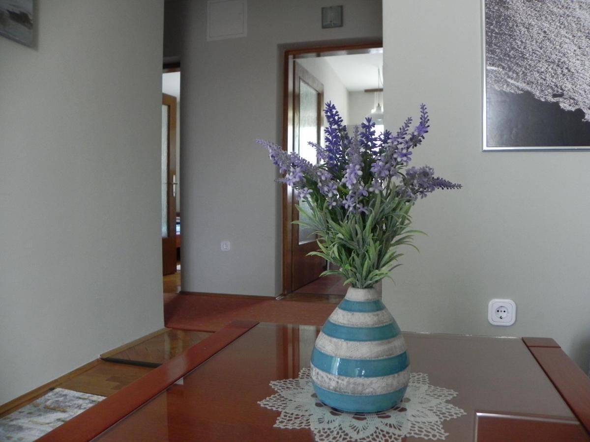 Apartments Katalenic Selce Zewnętrze zdjęcie